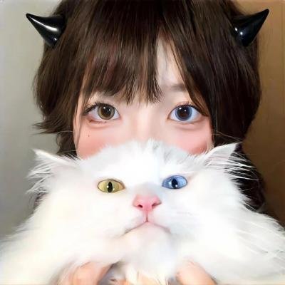 栗色伊拉克